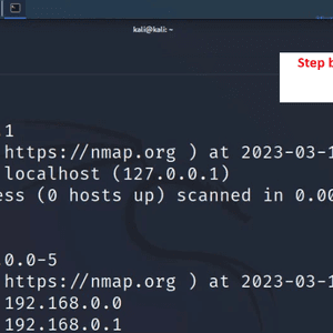 Scanning the Network Using Nmap Tool