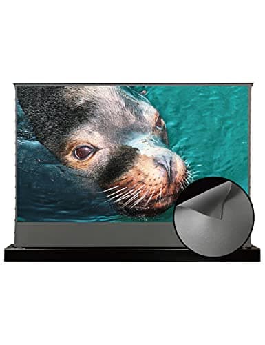 Best Alr Screen For UST Projector: What Do You Actually Need?