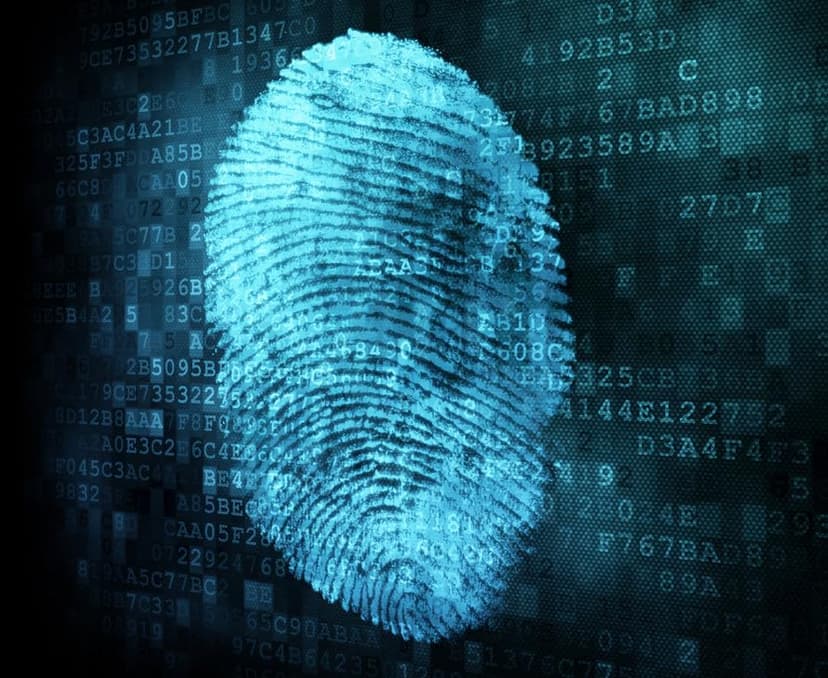 Computer IT Digital Forensics Investigative Environment Linux Live Bootable Utility for PCs - Professional Law Enforcement Hacking Toolkit Caine USB